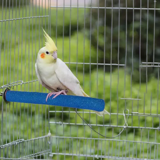 2pc Parrot Frosted Pole 10cm Parrot Cage Wood Grinding Stand Stick Bird Toy