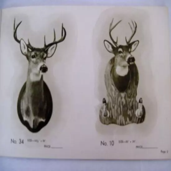 Interesting 1941 "Taxidermist" Catalog w Lots of Pictures of Deer, Bear & Fish *