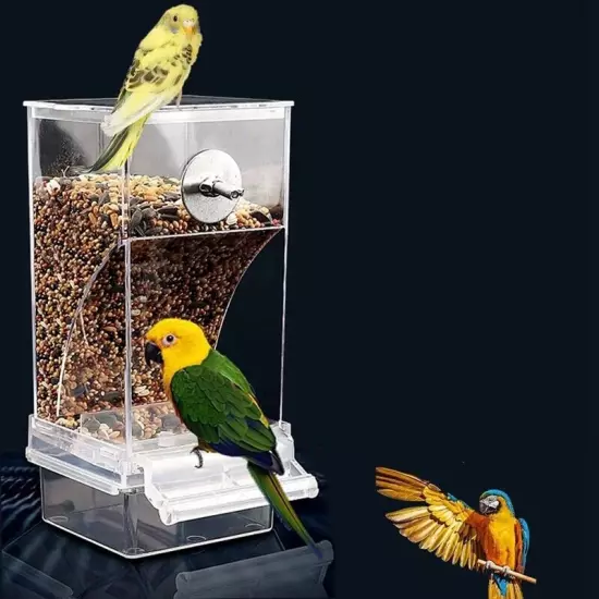 2 PCS Bird Feeders Bird Feeding Cage Transparent Parakeet Seed Container5155