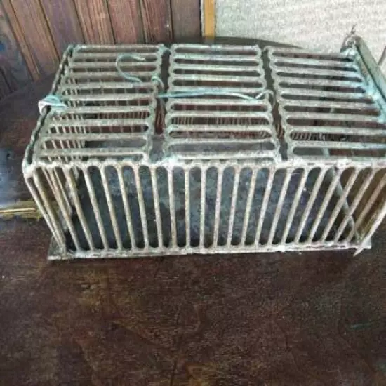 Vintage Primitive Iron Mouse Trap Cage