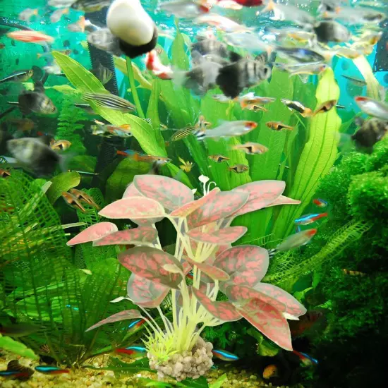 Aquarium Artificial Waterweed Fish Tank Grass Water Plants Landscaping Dec D2P1