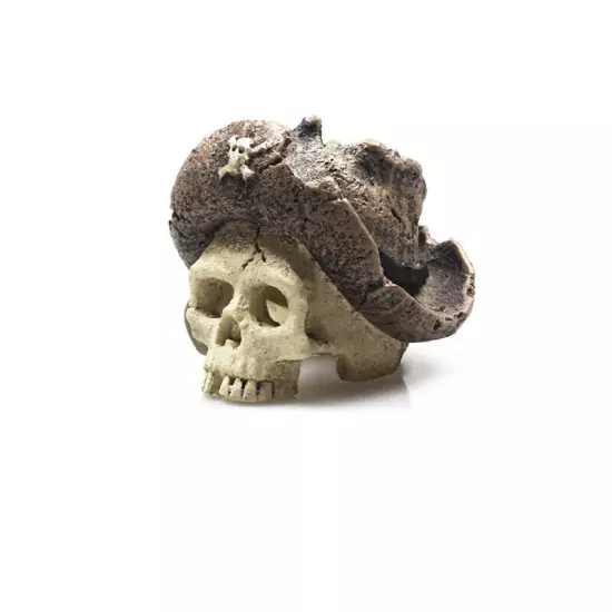 Artificial Fake Skull Head Bone Aquarium Ornament Fish Tank Decoration