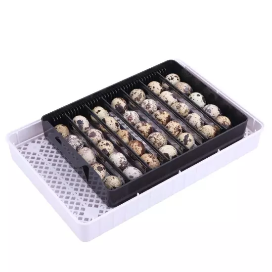 US 12-Egg Adjustable Egg Tray Practical Fully Automatic Poultry Incubator Set