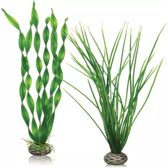 biOrb Large Green Plant Set, Colorful and Durable Aquarium Large, 