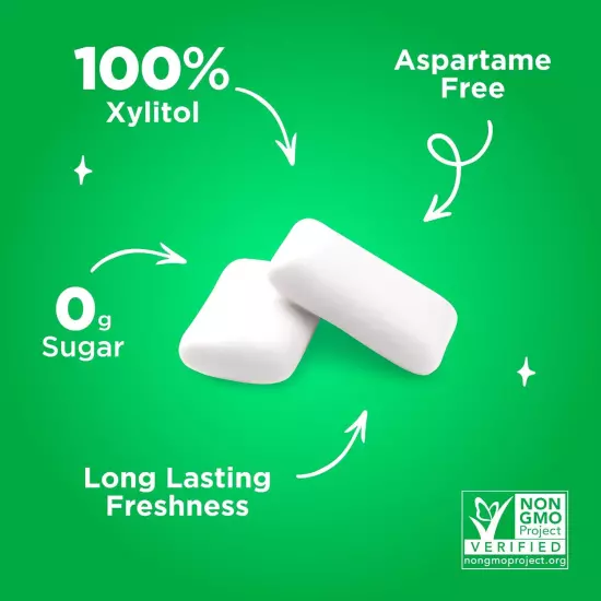 PUR Gum Aspartame Free Chewing Gum 100% Xylitol Natural Spearmint Flavored Gum