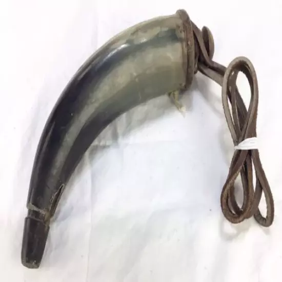 Powder Horn Bull Horn 