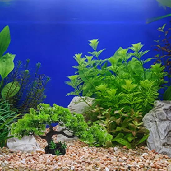 1* Artificial Fish Tank Simulation Water Plan U8R5