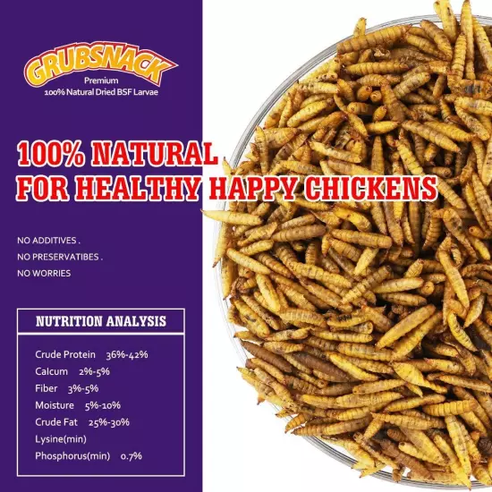 Lot Bulk Dried BSF worms for Wild Birds Food Chickens Hen Fish Treats Food