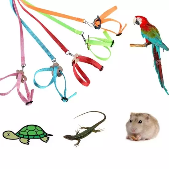 Bird Harness Leash Parrot Flying Rope Comfortable Adjustable Training Ropes