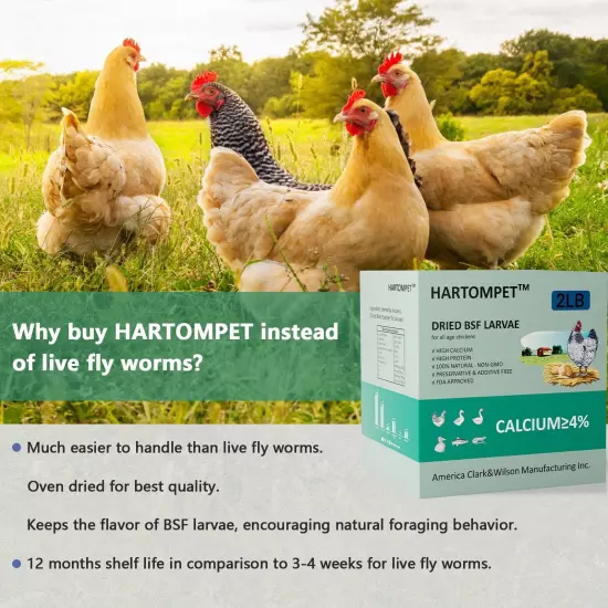 HARTOMPET Better Than Dried Mealworms for Chickens 2 lbs - 85X More Calcium T...