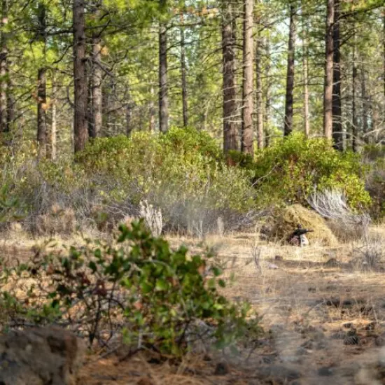 Arcturus Ghost Ghillie Suit | Super-Dense Dry Grass Hunting Camo