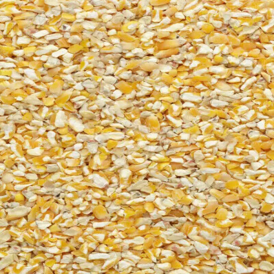 Cracked Corn Premium Bird, Chicken, Wildlife Scratch Feed. Pick Your Size