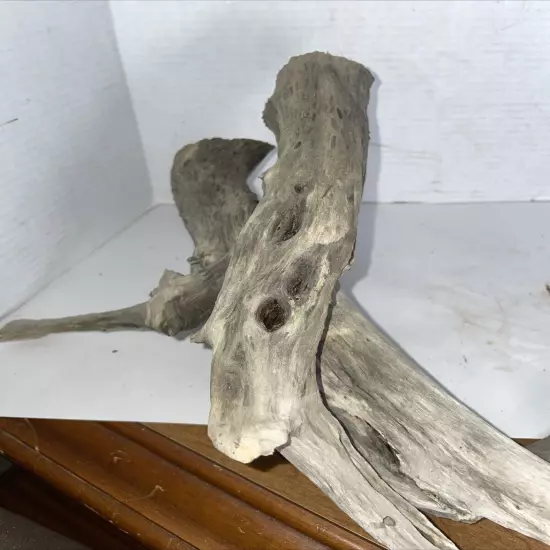 Driftwood Taxidermy Beach Lake Mountain House Wedding Reception Centerpiece