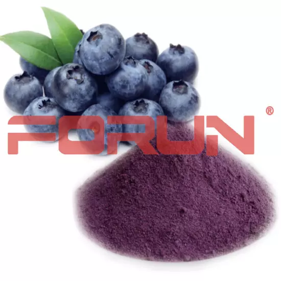 FORUN Blueberry Powder - Premium Grade,Watersoluble