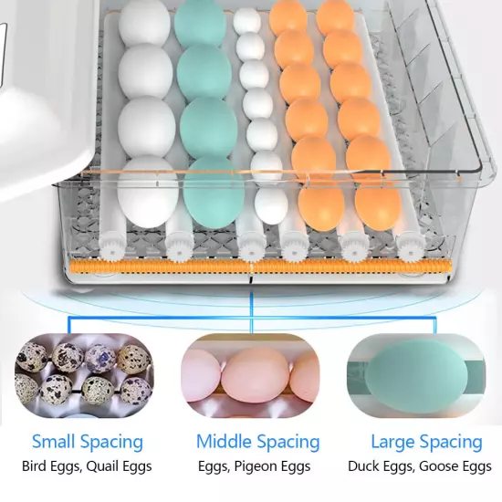 64 Digital Eggs Incubator Egg Hatcher With Temperature Control Automatic Turner