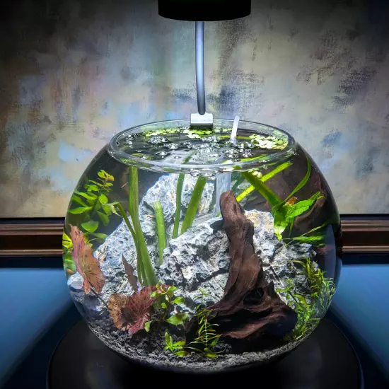 Aquascaping Kit | Planted Tank Kit | Seiryu Stone, Driftwood, Red Tiger Lotus