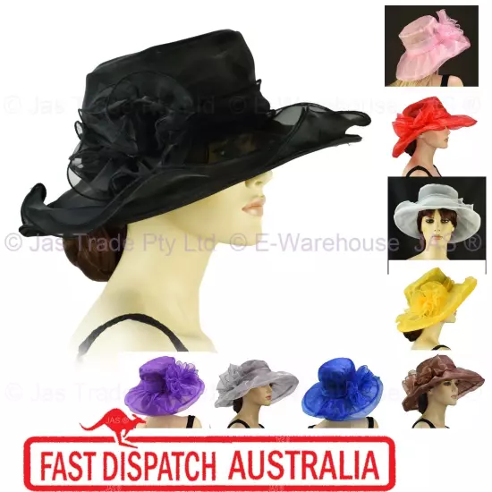 Spring Race Carnival Derby Day Church Wedding Women Ladies Organza Evening Hat