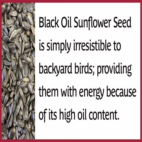 2 Bags Pennington Select Quality Black Oil Sunflower Seed Wild Bird Protein Feed