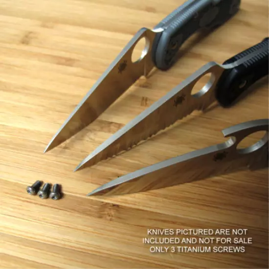 Spyderco Delica 4 Titanium Ti T6 RAW Pocket Clip Torx Screws Set Mod - NO KNIFE