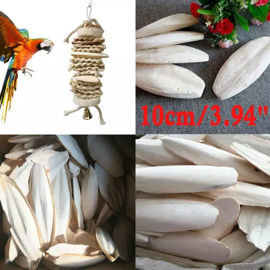 10-20X Large 10CM 3.94" Cuttlebone For Bird Parrots Cuddle Bone W/Box Cuttlebone