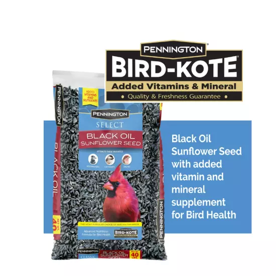 Pennington Select Black Oil Sunflower Seed Dry Wild Bird Feed, 40 lb. Bag, 1 Pac