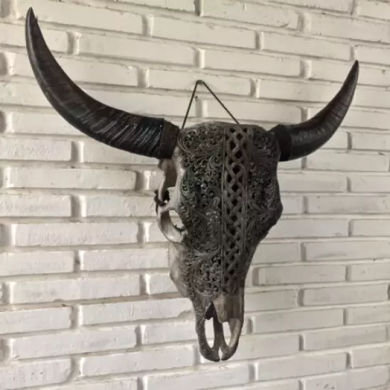 Cow SKULL Cattle Skull with Buffalo HORN Skull longhorn Simple Design Grey Skull