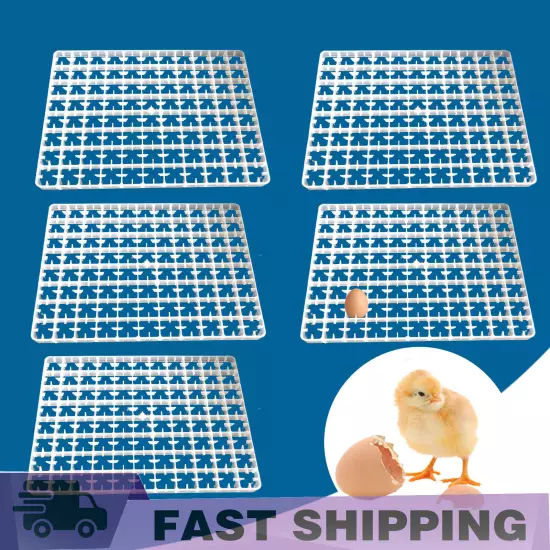 5Pcs 88-Eggs Egg Breeding Tray Tool Fit Egg Incubator Hatcher Brooder Farm US