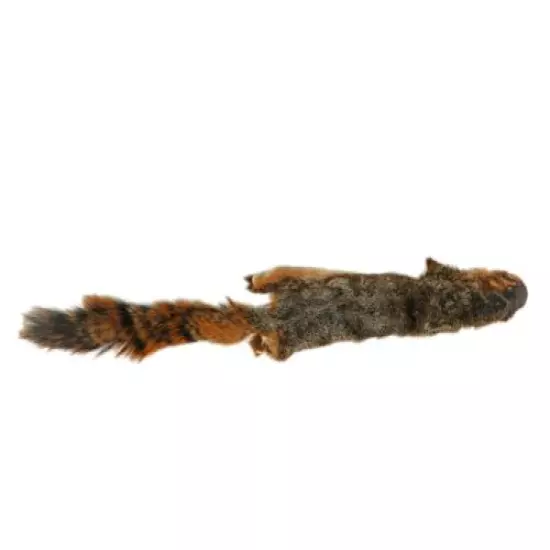 Red Fox Squirrel Skin without Tail (32-25-G455) 8UL32