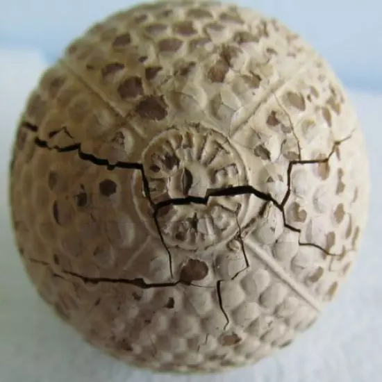 WHITE COLONEL BRAMBLE GOLF BALL WITH CIRCLES AT ALL 6 POLES AND LINES CONNECTING