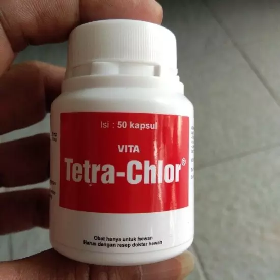 FREE SHIPPING VITA TETRA CHLOR VITAMINS MINERALS FOR CHICKENS BIRDS ALL POULTRY