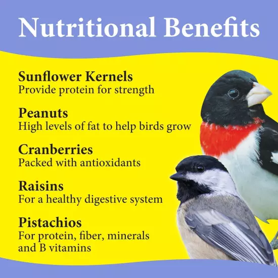 2 Pack 3-D Pet Products Premium Nut N' Berry Blend Dry Wild Bird Food, 14 lb.