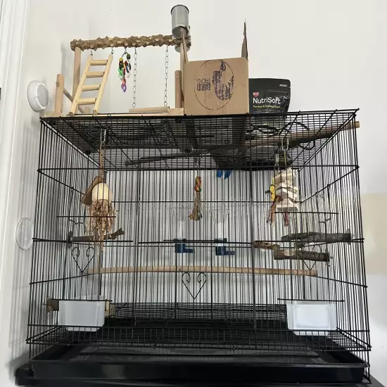 you and me rectangle finch cage