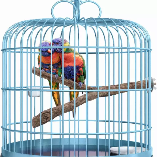 3 Pack Apple Wood Bird Perch for Cage, Natural Wooden Parrot Perch Stand Platfor