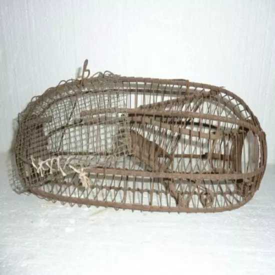 ANTIQUE EARLY PRIMITIVE HAND-WIRED MOUSE RAT RODENT PEST CATCH ALIVE TRAP BASKET