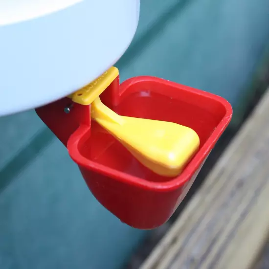 Dine a Chook Lubing Chicken Drinker-Cup-Poultry -Waterer-Nipple-Drinker Feeder