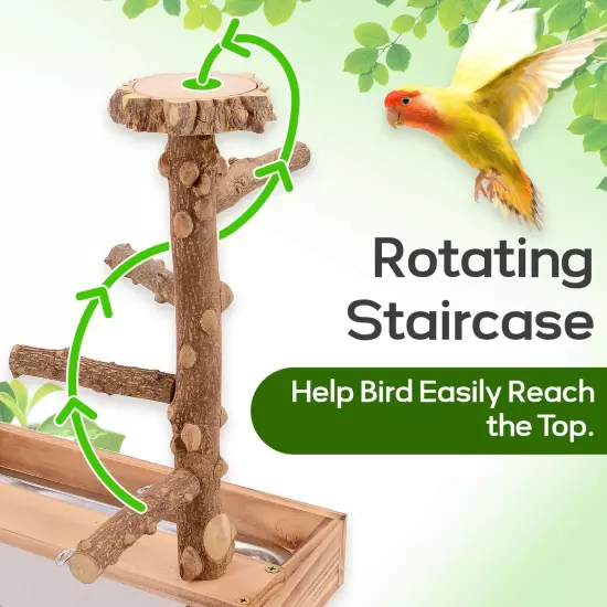 Bird Playground, Bird Perch Play Stand, Bird Conure Parakeets Parrots Cockati...