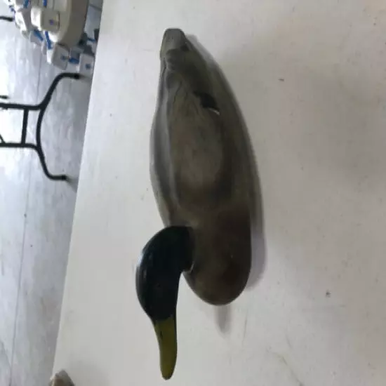 Old Mallard Drake Decoy