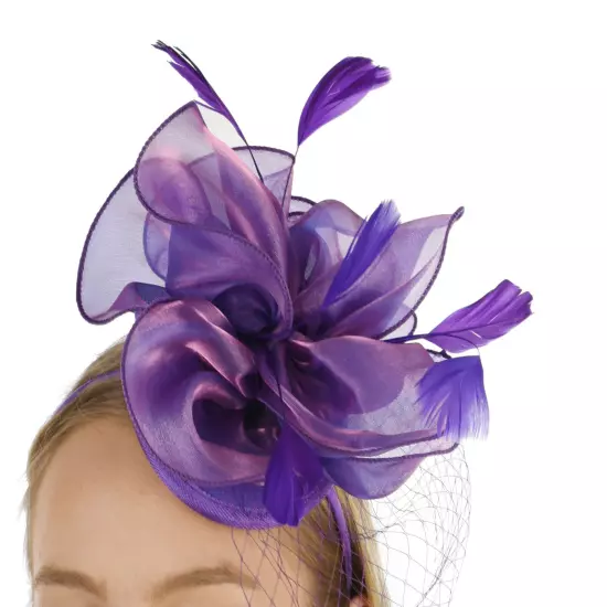 Melbourne Cup Spring Races Racing Carnival Headband Clip Hatinator Fascinator