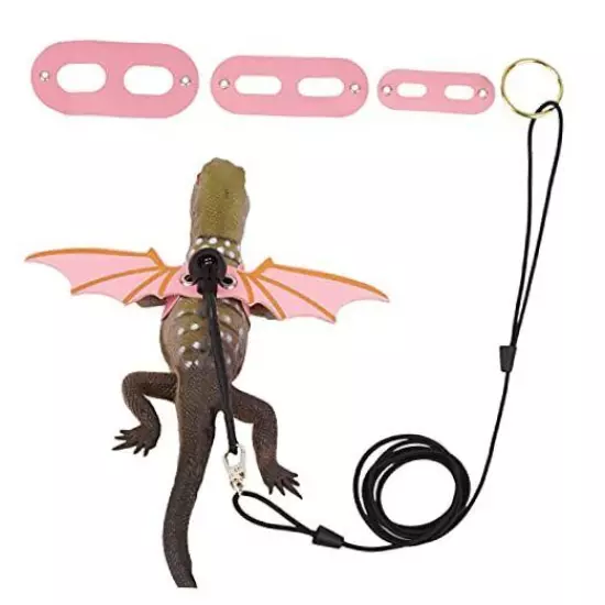 Bearded Dragon Leash Harness, 3 Size Pack Leather Wing Lizard Harness with Pink