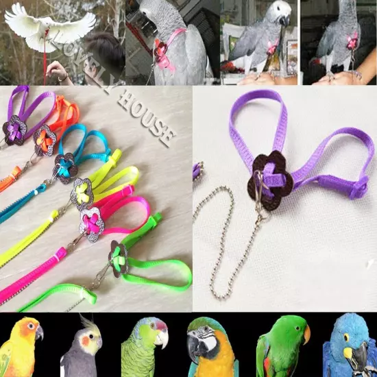 Adjustable Parrot/Bird Harness Multicolored