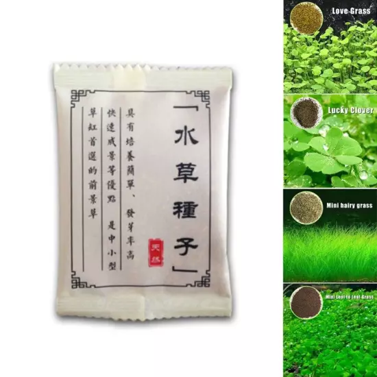 Aquarium Grass Seeds, Eleocharis parvula Aquatic Water Fish Tank Grass Plant