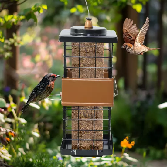 Easy Clean and Fill Bird Feeder Multiple Feeding Ports Wild Bird Seed Feeders