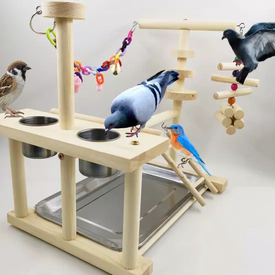 Wood Pet Parrot Playstand Perch Gym Cockatiel with Feeder Cups Bird Play Stand