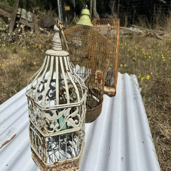 Vintage/Antique Lot Of Two Round Bird Cages