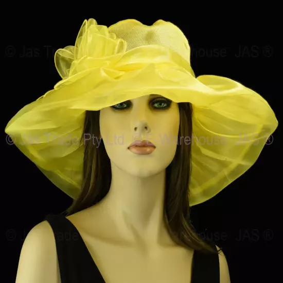 Spring Race Carnival Derby Day Church Wedding Women Ladies Organza Evening Hat