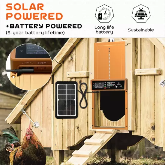 Automatic Chicken Coop Door Solar Powered Automatic Chicken Door with Timer &...