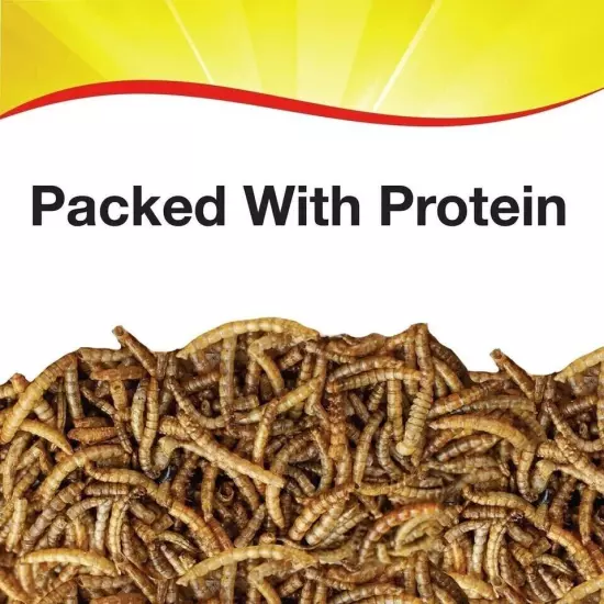 Wild Delight Mealworms Wild Bird Food, 16 oz Bag, Brown