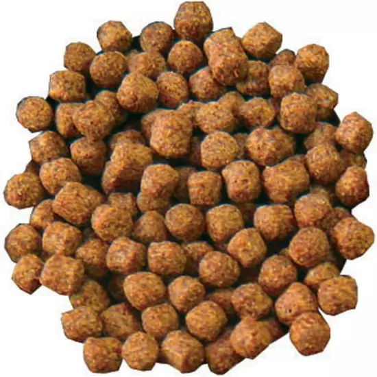 Aquascape Premium Staple Fish Food Pellets for Small to Medium Pond Fish, Medium