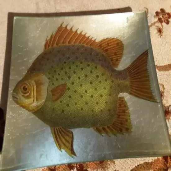 13" X 10 " pan Fish Glass Dish / Plate / tray