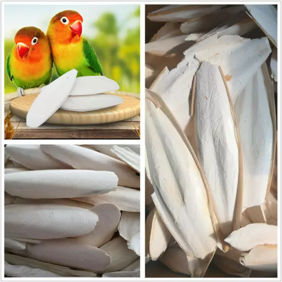 10-20X Large 10CM 3.94" Cuttlebone For Bird Parrots Cuddle Bone W/Box Cuttlebone